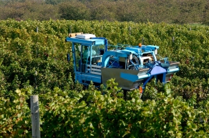 Harvester