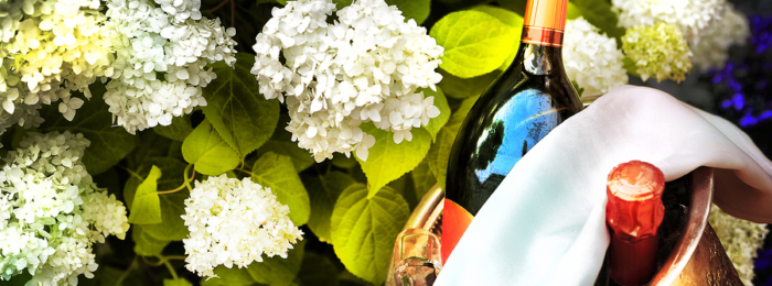 Are More Expensive Wines Actually Better?